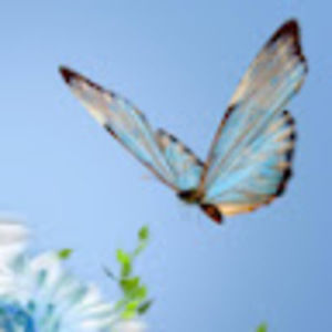 Meet your Posher, Eliza